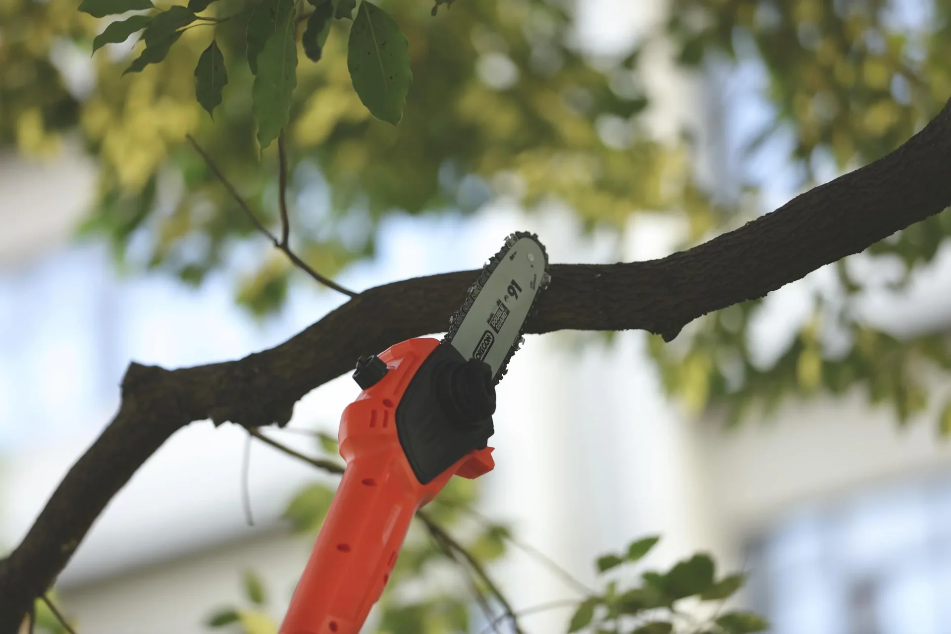 LS C20AW 20 V Akku Hochentaster - ohne Akku und Ladegerät - 6