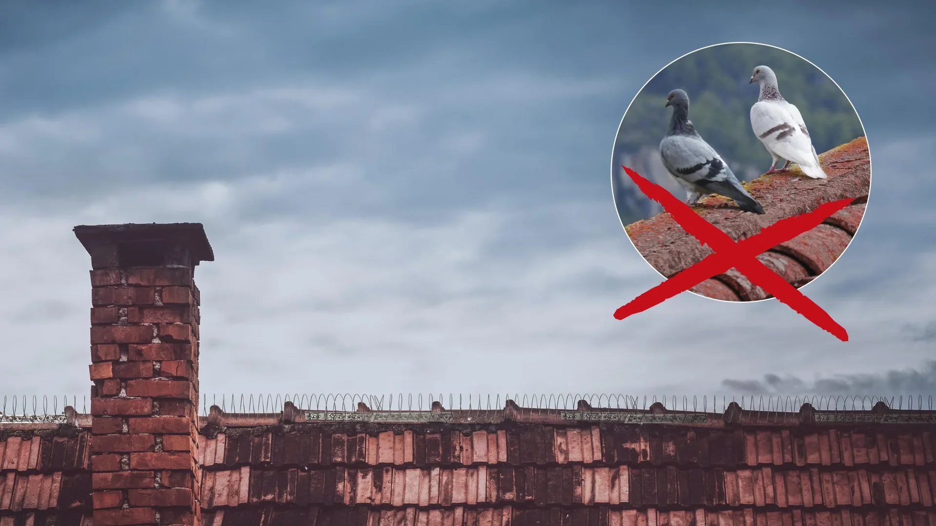 Vogelschutz Spirale 5m - 2