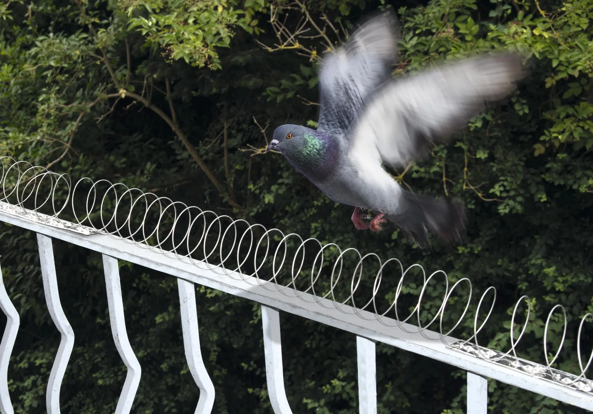 Vogelschutz Spirale 5m - 8