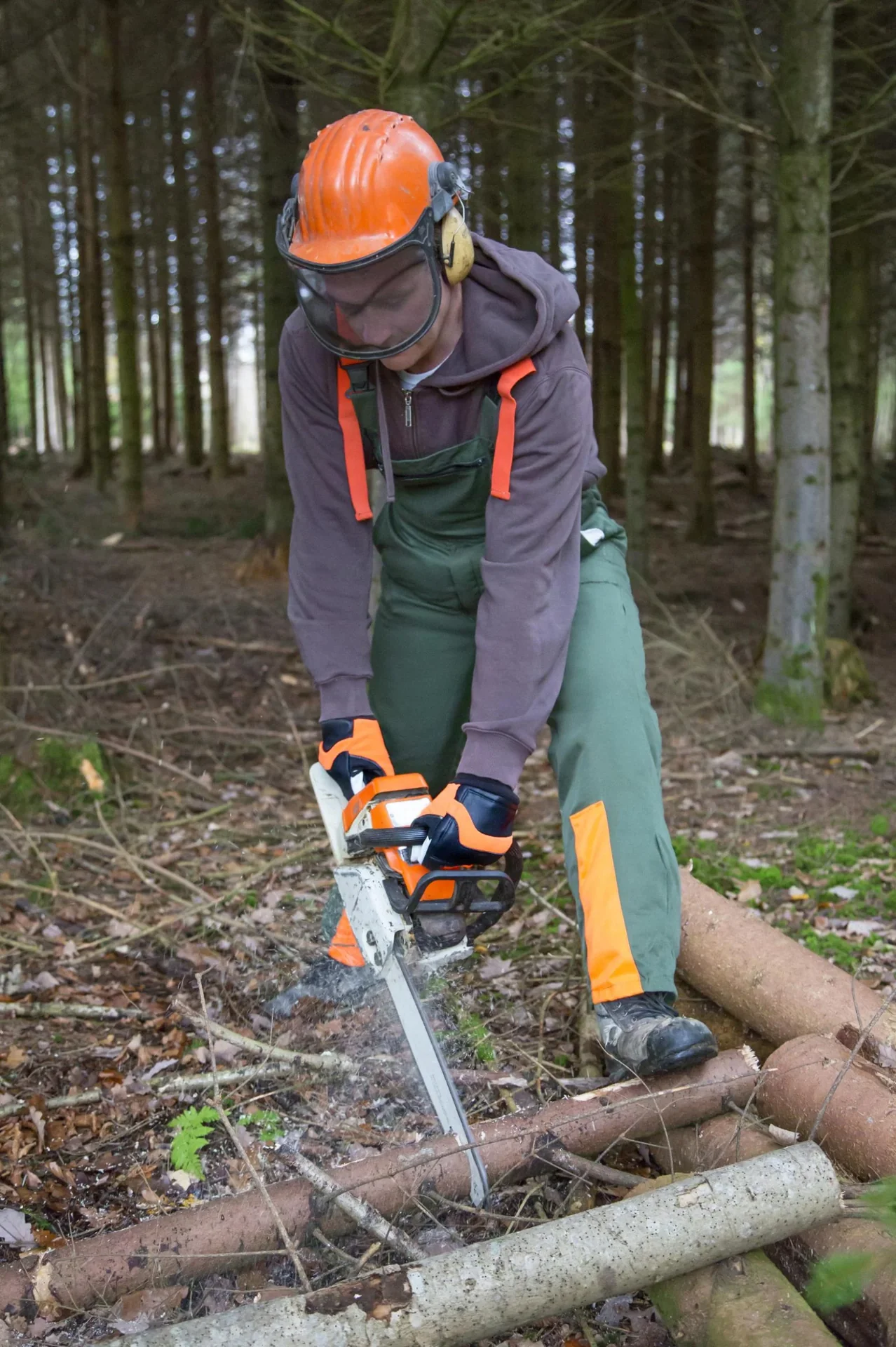 Motorsägenhandschuh Forester Gr. 10/XL - 0