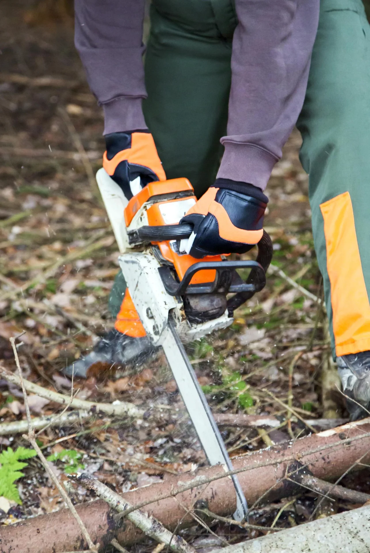 Motorsägenhandschuh Forester Gr. 10/XL - 1