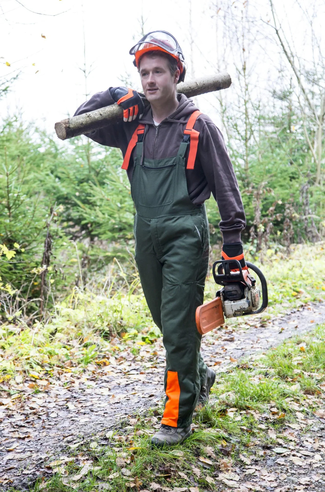 Motorsägenhandschuh Forester Gr. 10/XL - 2