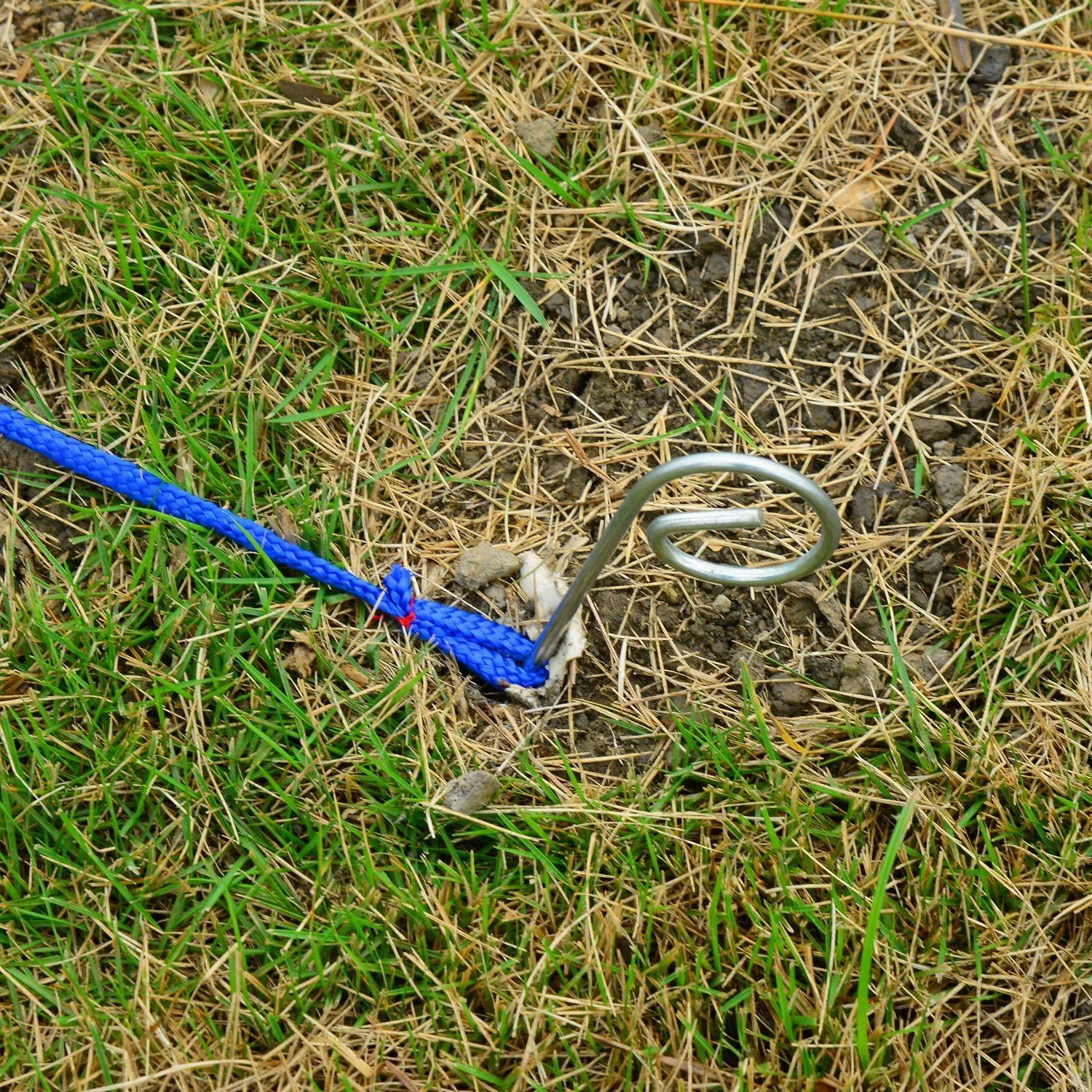 Hunde Agility Slalom Übung Sprungring Training Reifen Hürdenset - 4