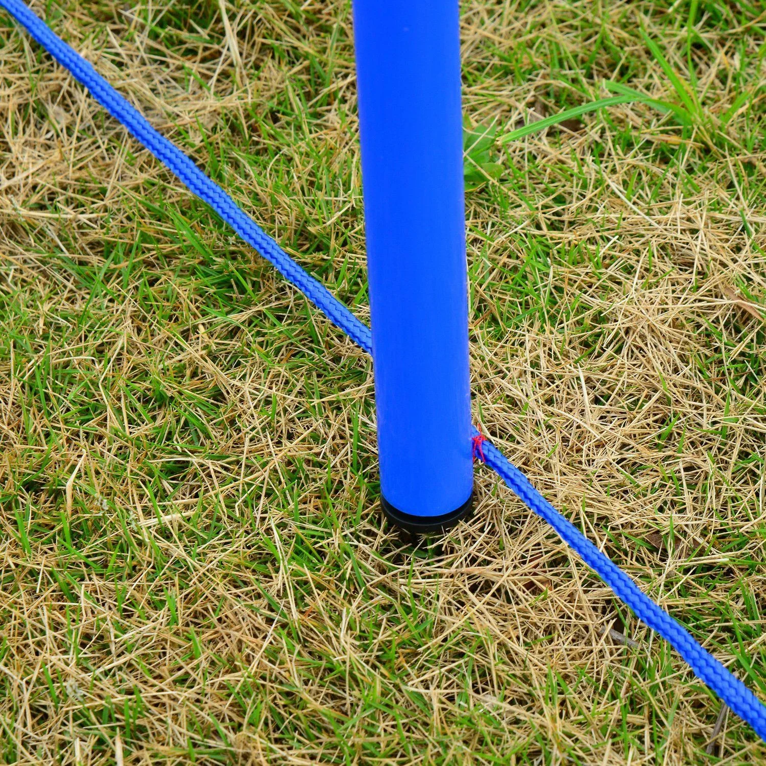 Hunde Agility Slalom Übung Sprungring Training Reifen Hürdenset - 6