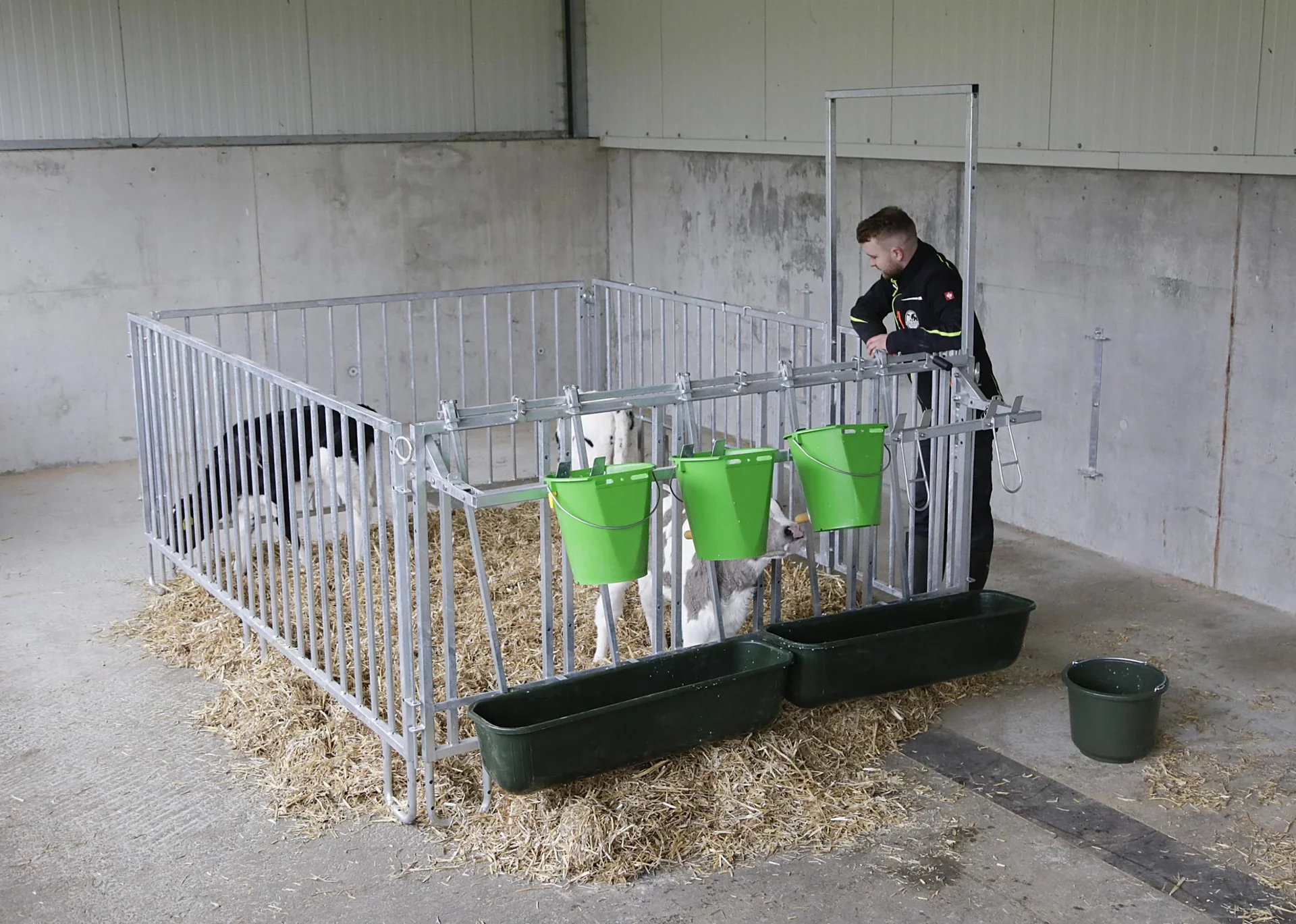 Zaunteil mit Tür und Fressplätzen, kurz, für modulare Zaunaufstallung - 5