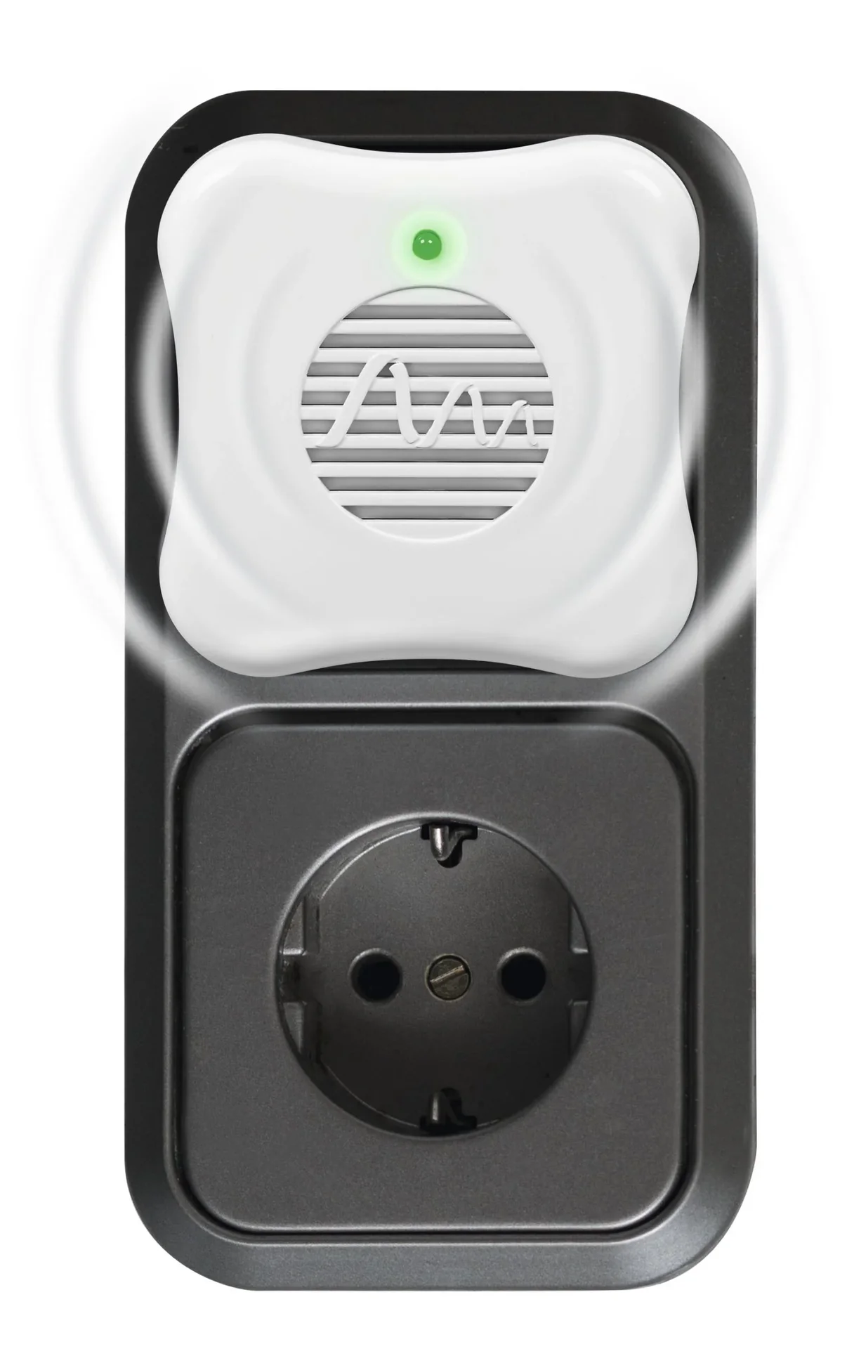 Stechmücken-Feind - 6