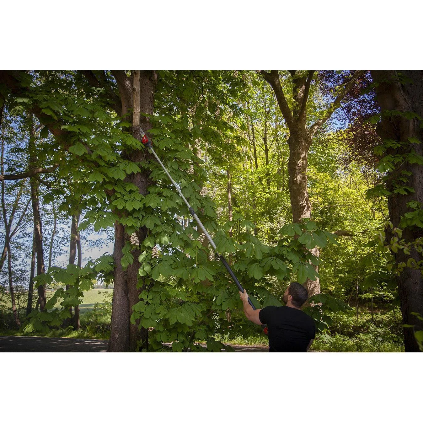 Polsäge 40 Volt Li-Ion - 2