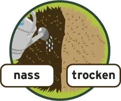 Magisches Rasen-Pflaster 3,6 kg - 1