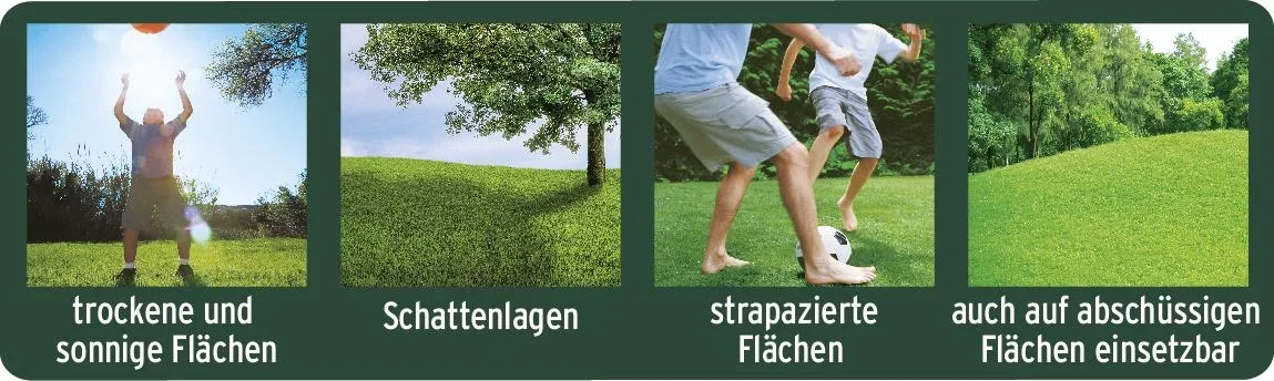 Magisches Rasen-Pflaster 3,6 kg - 2