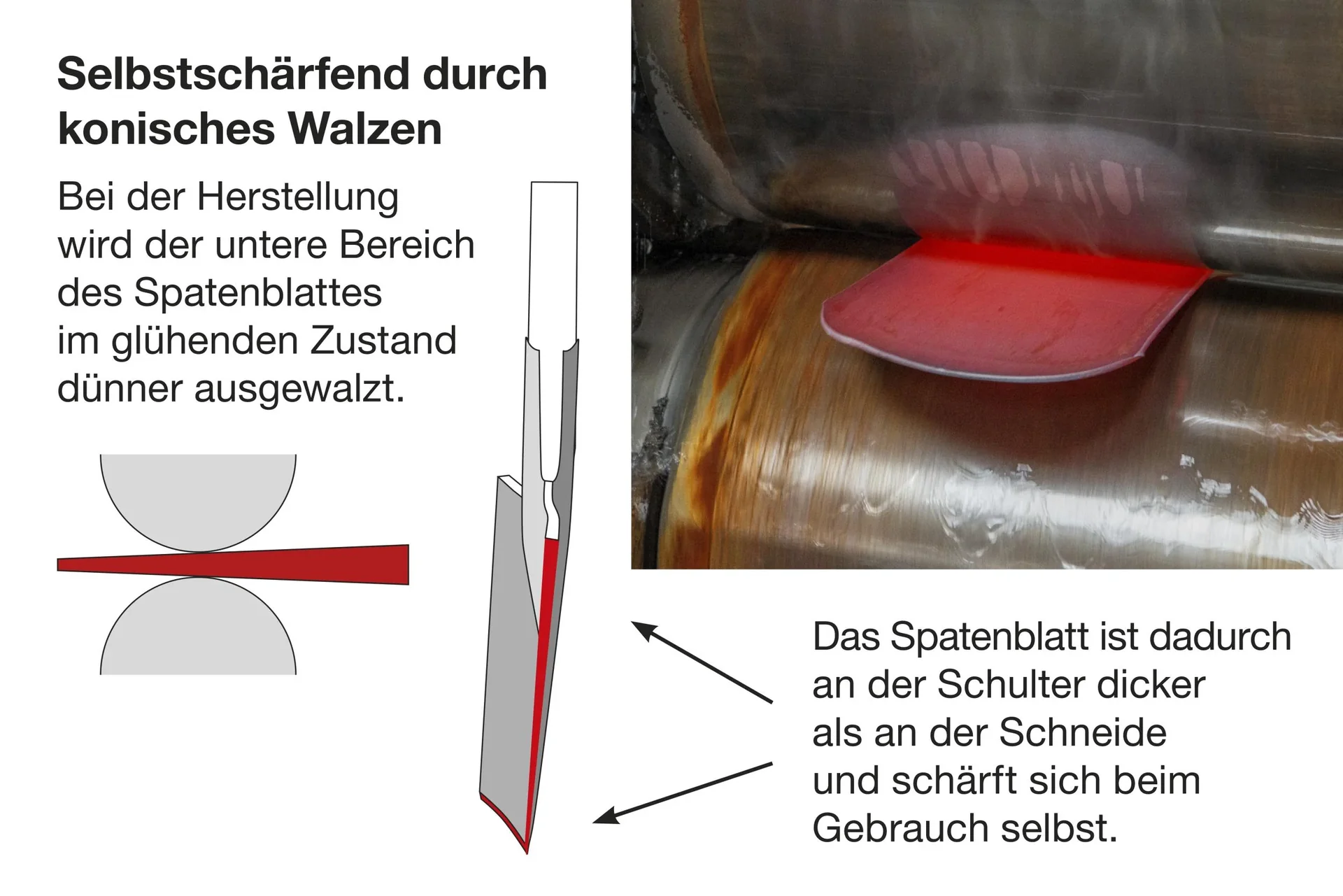 Spaten, Rode- und Baumschulspaten, Gr. 2, poliert, Trittschutz, Federnverst., Verstärkungsring, Eschen-T-Stiel 85 cm - 1