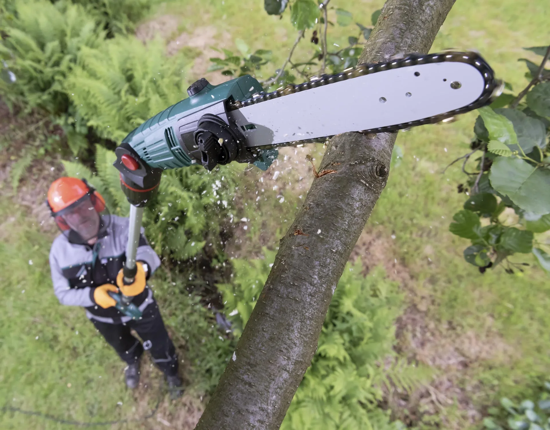 3D Baum- und Heckenpflege Set - 0