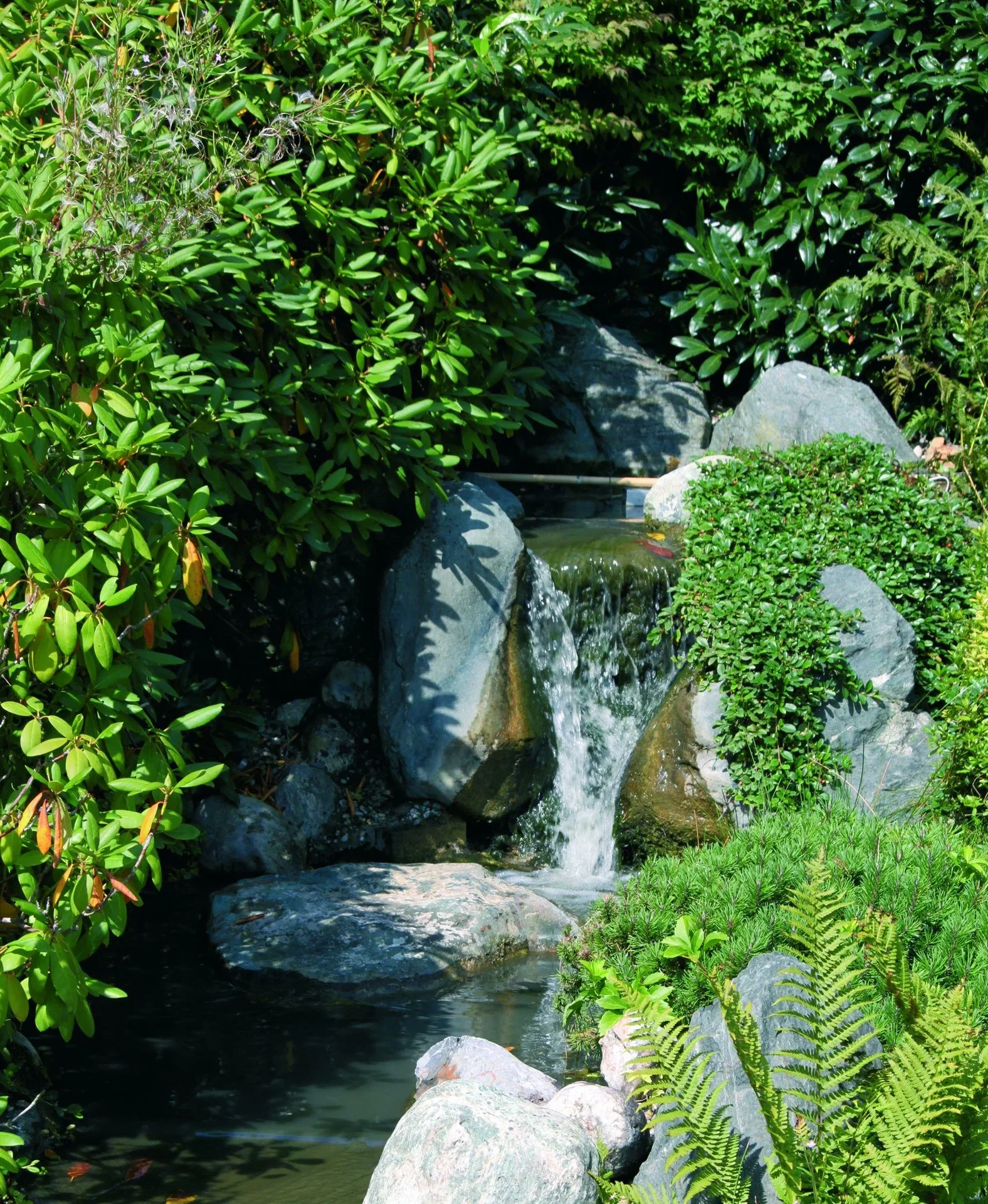 Solar Bachlaufpumpensystem "Adria" - 2