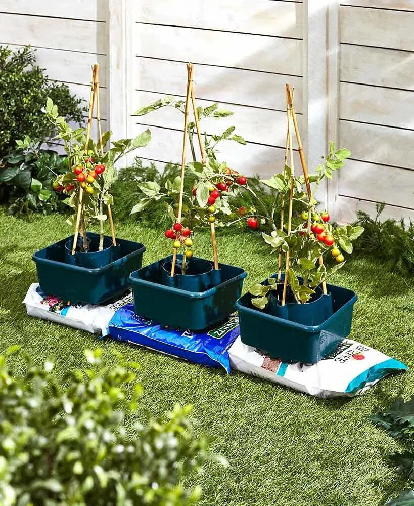 Pflanzgefäß mit Wasserspeicher - 1