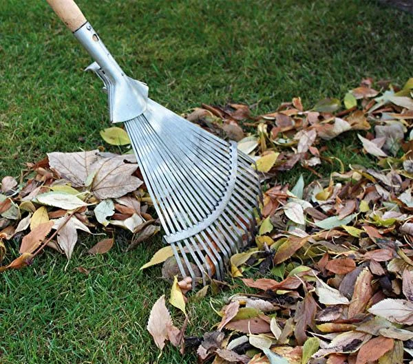 Profi Fächerbesen mit Stieltülle - Gartengerät - 0