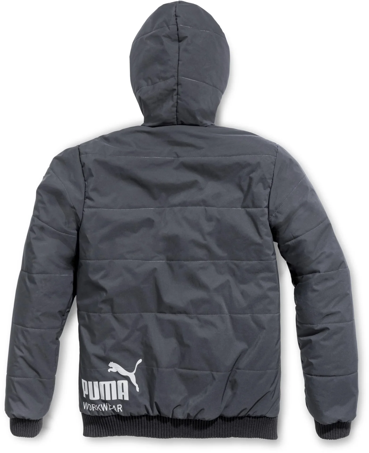 Winterparka CHAMP, carbon, L - 0