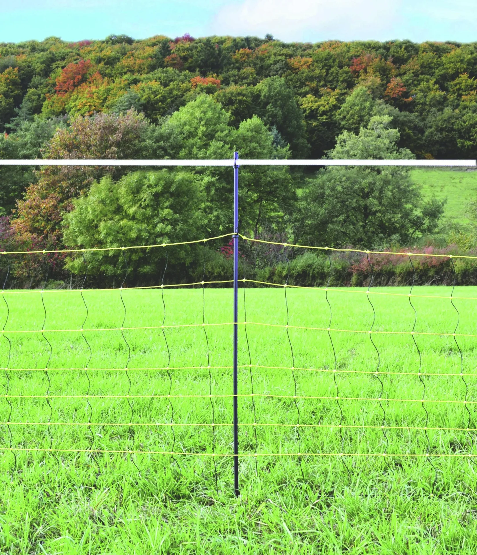 Wolfsabwehrnetz mit Einzelspitze, 90/120 cm, 50 m - 0