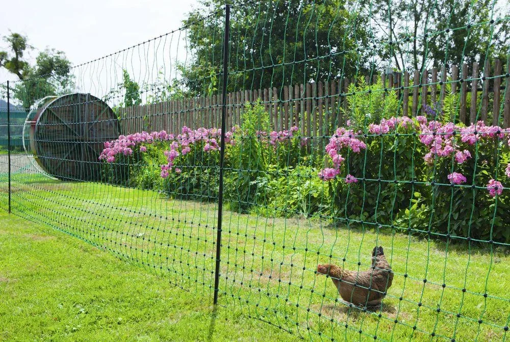Geflügelnetz 106 cm mit Doppelspitze, 25 m, nicht elektrifizierbar - 6