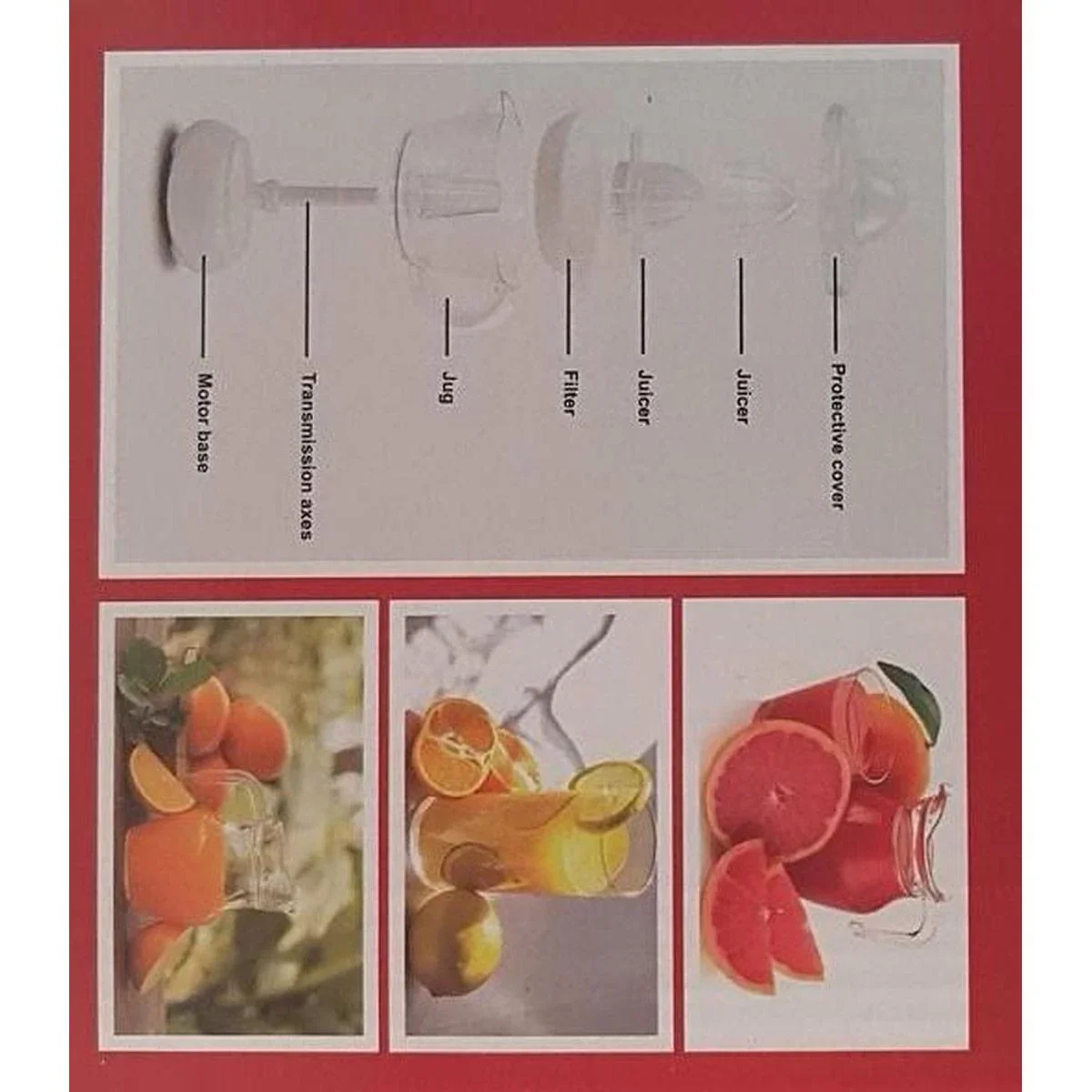 Zitruspresse - 25W - 1