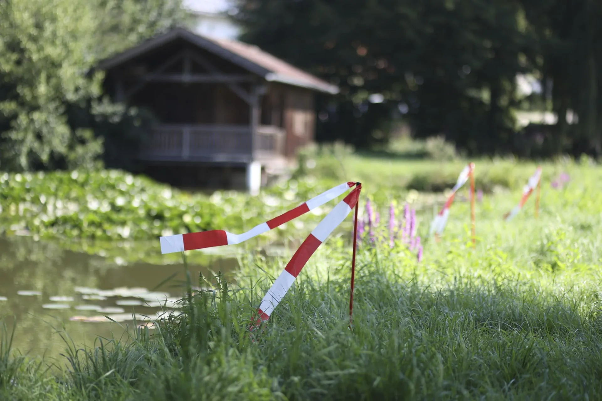 Abwehr-Set, 6-teilig - 1