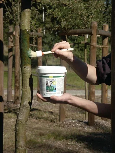 Raupenleim gegen Birnen - Knospenstecher, Schneespanner 500 g - 3