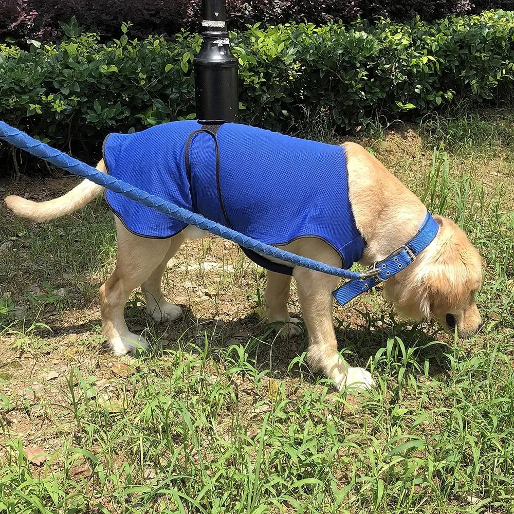 Hunde Kühlweste Kühljacke Cooling Vest schnelle Abkühlung Polyester Blau Ø50 x 50 cm - 3