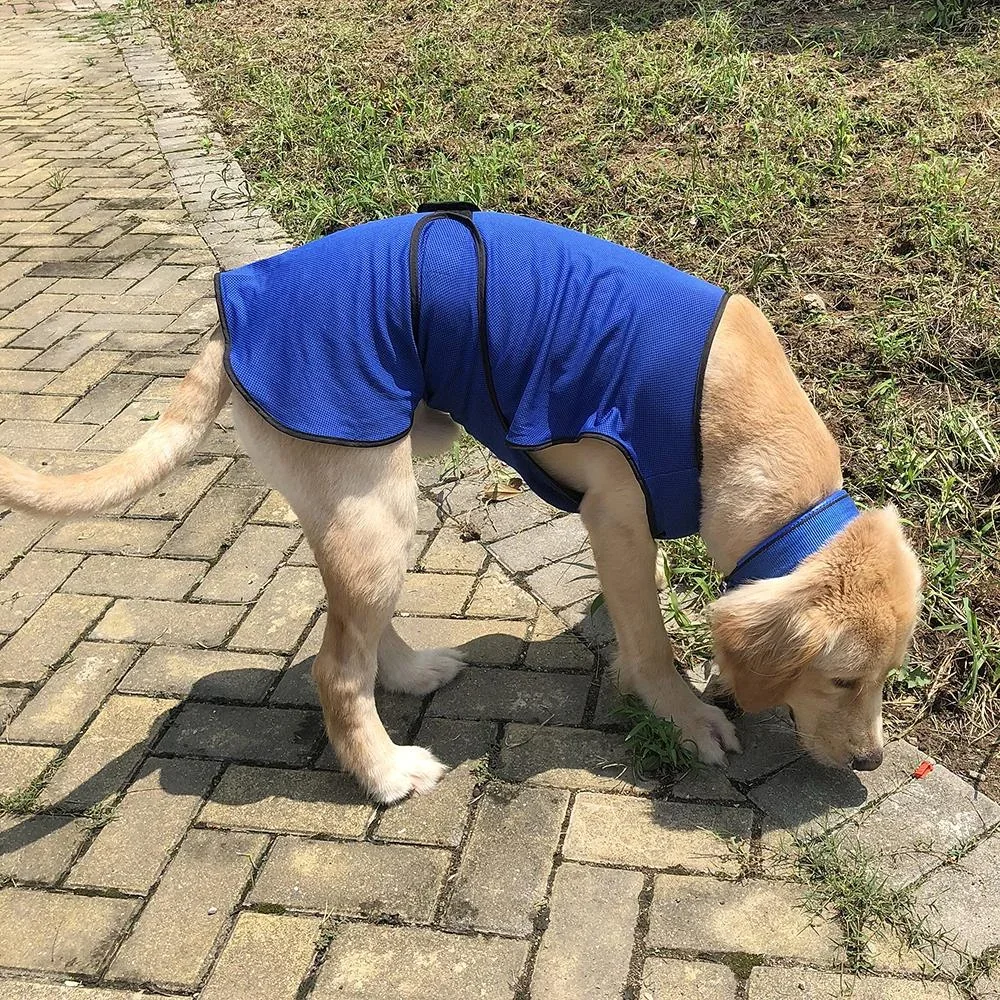 Hunde Kühlweste Kühljacke Cooling Vest schnelle Abkühlung Polyester Blau Ø50 x 50 cm - 4