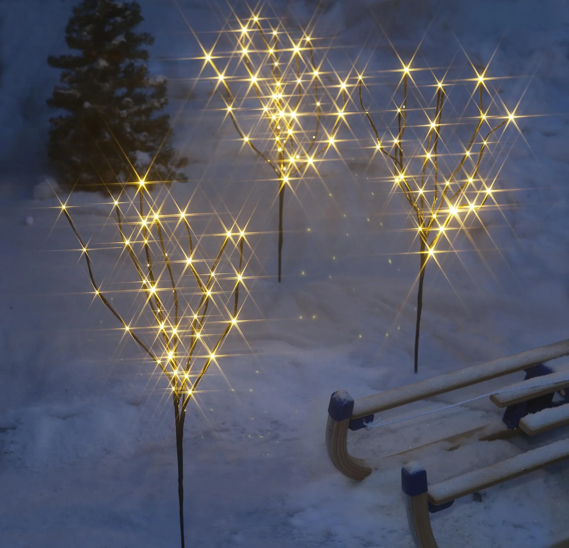 LED Bäume mit warmweißen LEDs - 3 Stück - 0