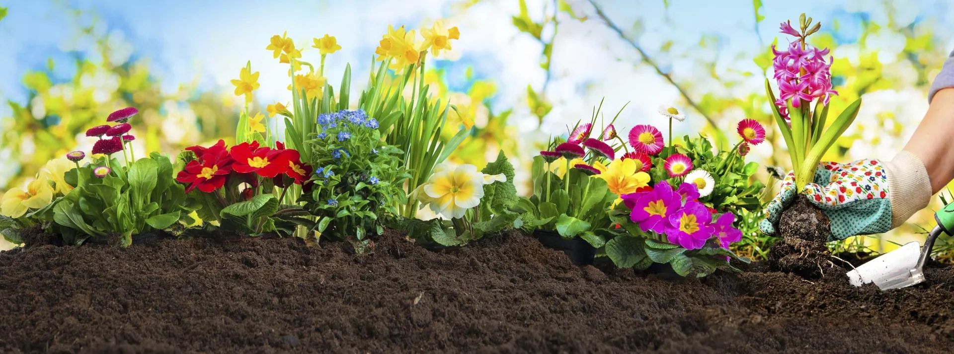 Spiralschlauch, 10 m - 2