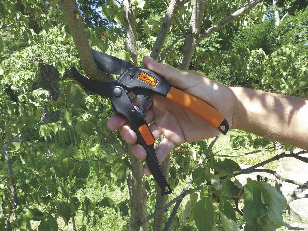 Power-Gleitschere "Primus" mit Rollenübersetzung - 2