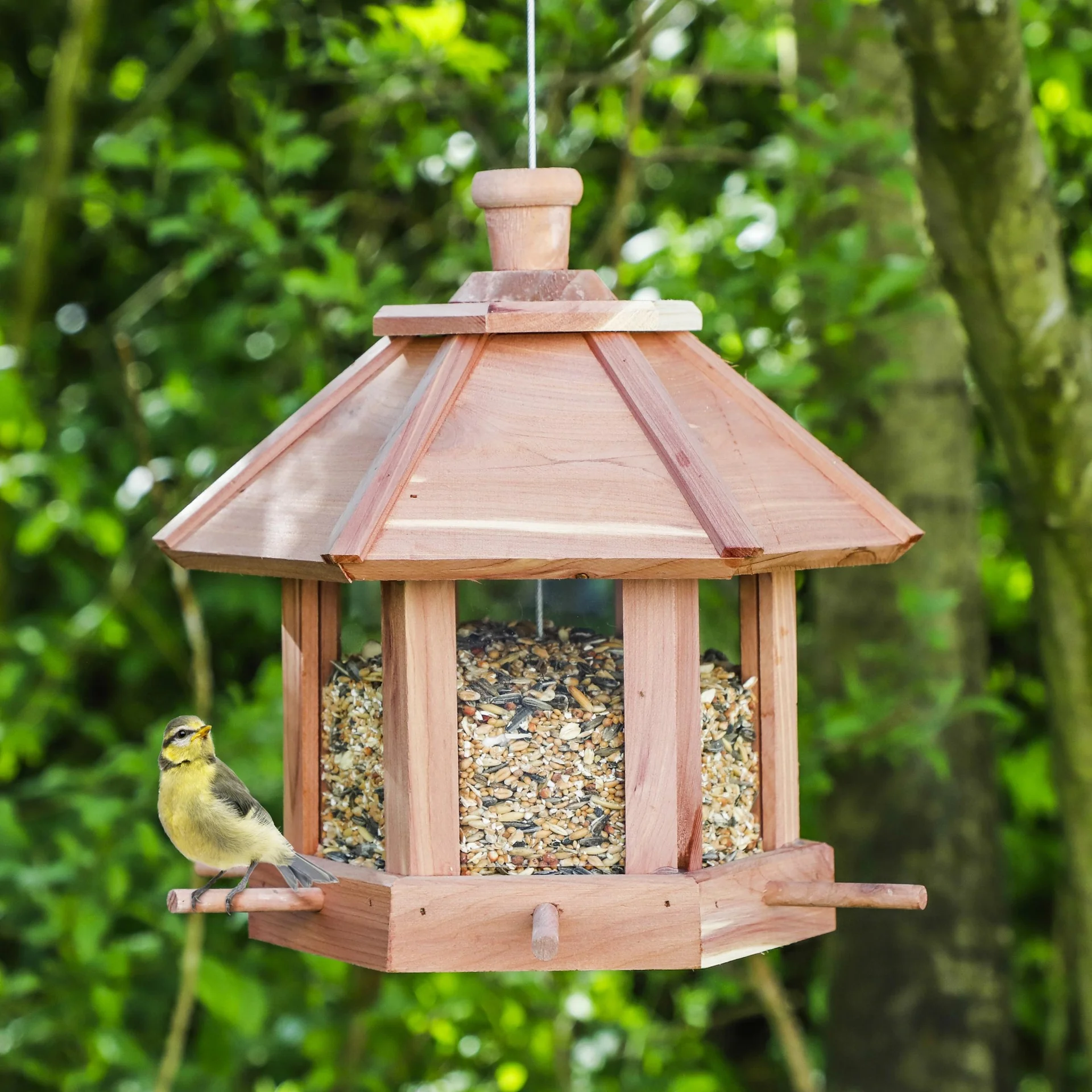 Vogelfutterhaus "Zedernholz" - 3