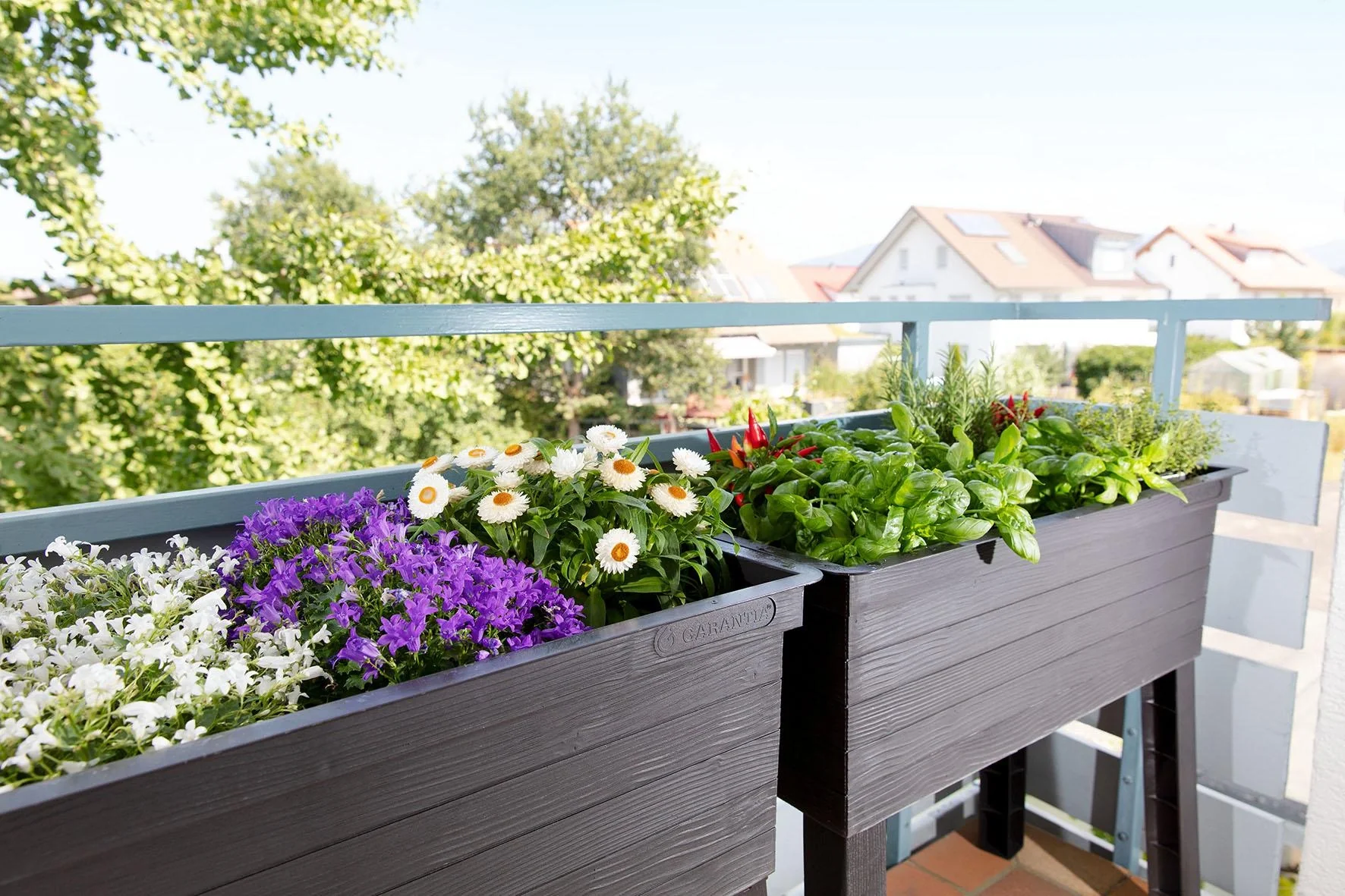 Balkon-Hochbeet Urban Set inklusive Anzuchthaube - 12