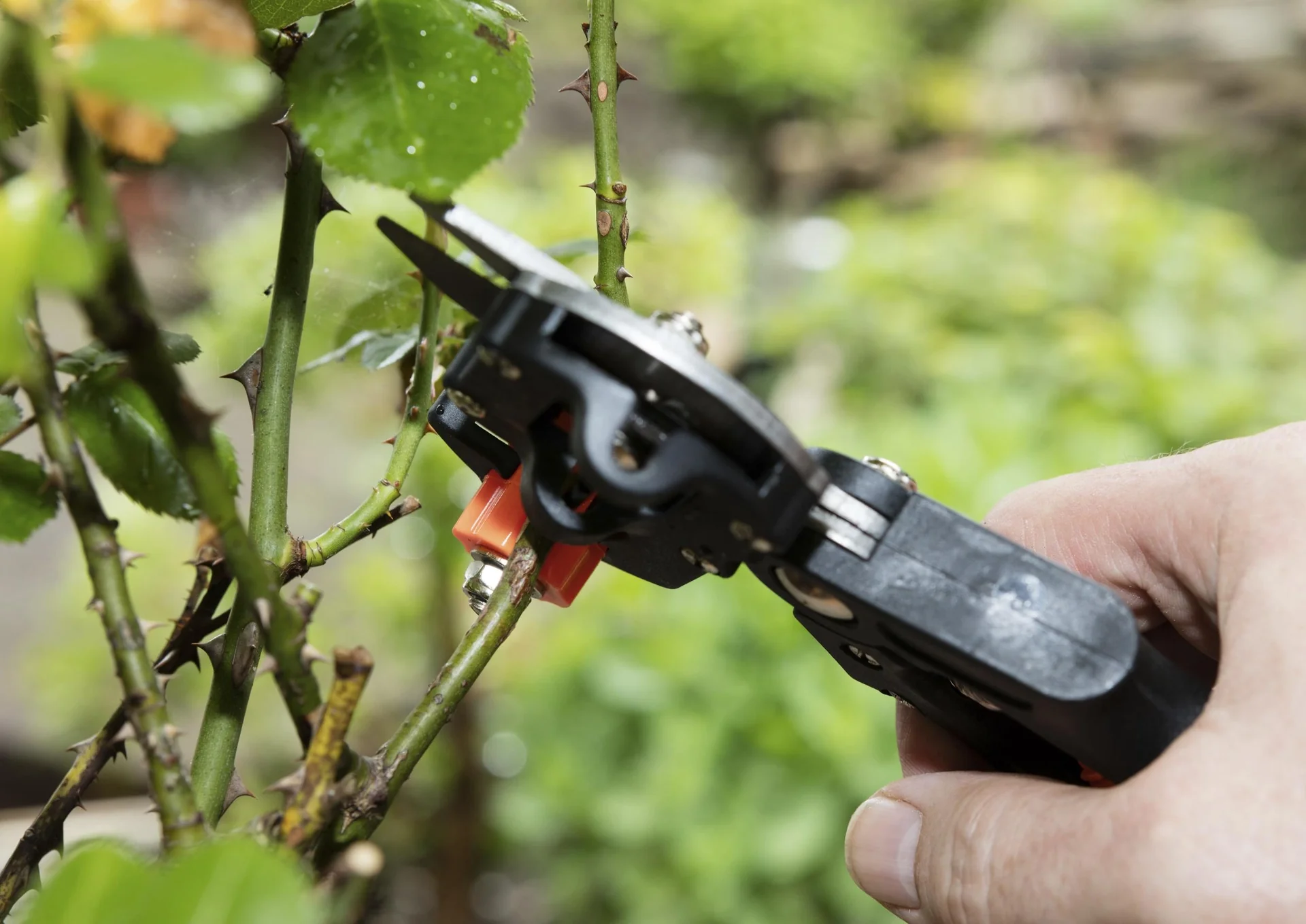 Veredelungs-Set mit 2 Ersatz- Omega- Messern, Umrüstwerkzeug und hochwertiger Aufbewahrungtasche - 11
