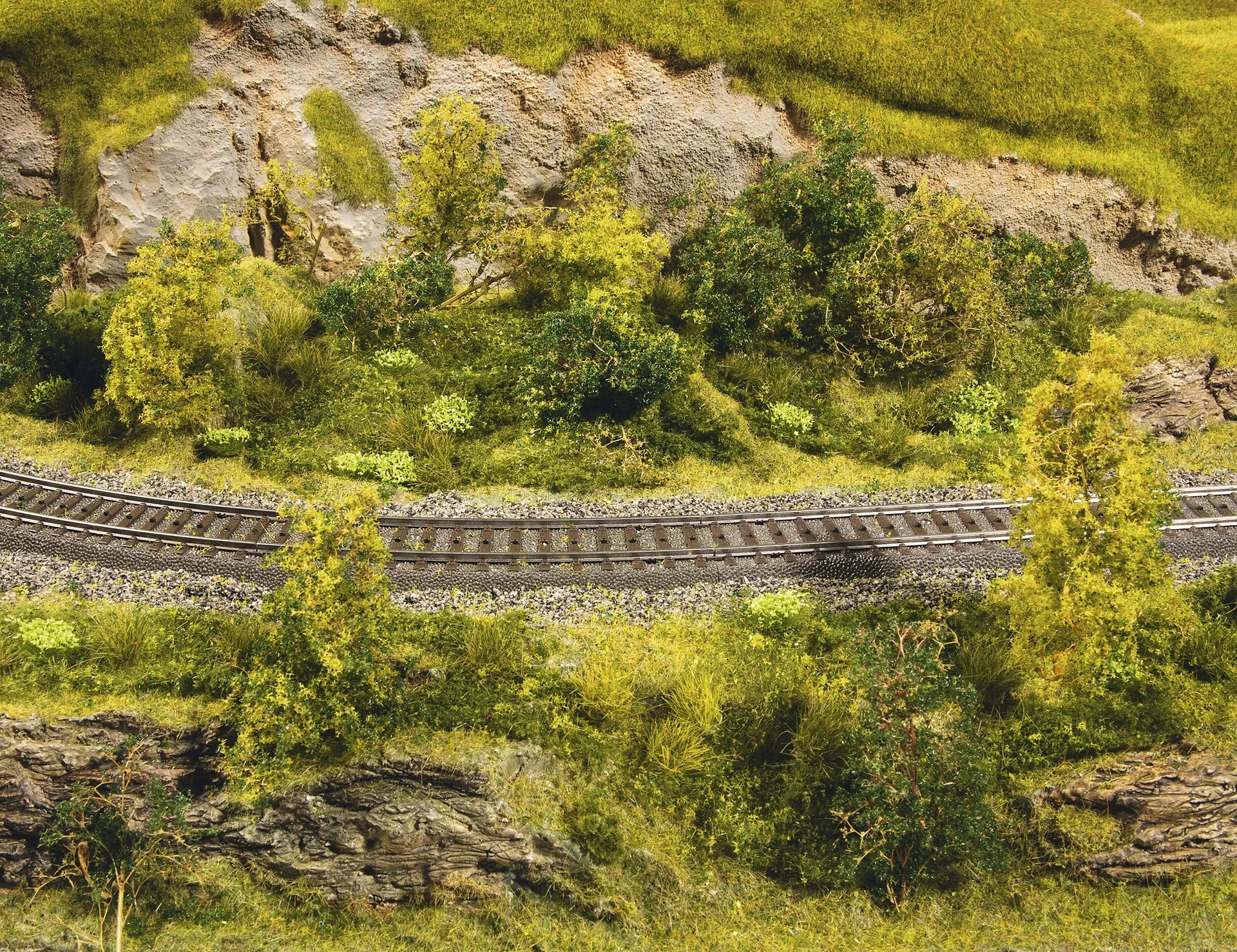 Perfekt-Set "Rechts & links der Gleise - 2