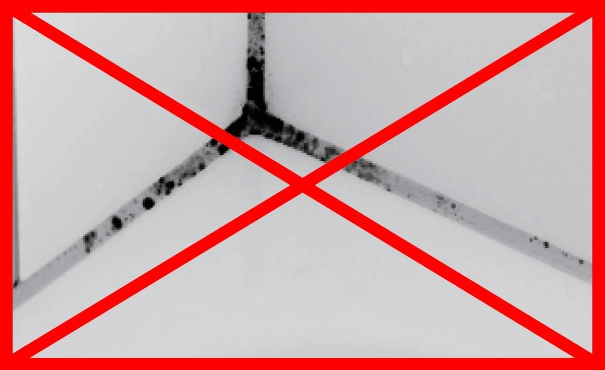 SchimmelEx, Schimmel-Entferner, Sprühflasche 500 ml - 2