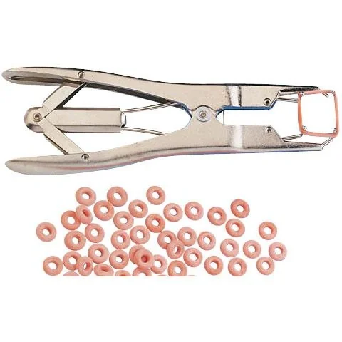 Gummiringe für Spannzange - 2