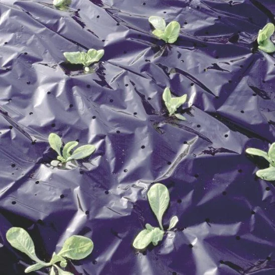 Mulchfolie, 1,5 x 10 m - 1