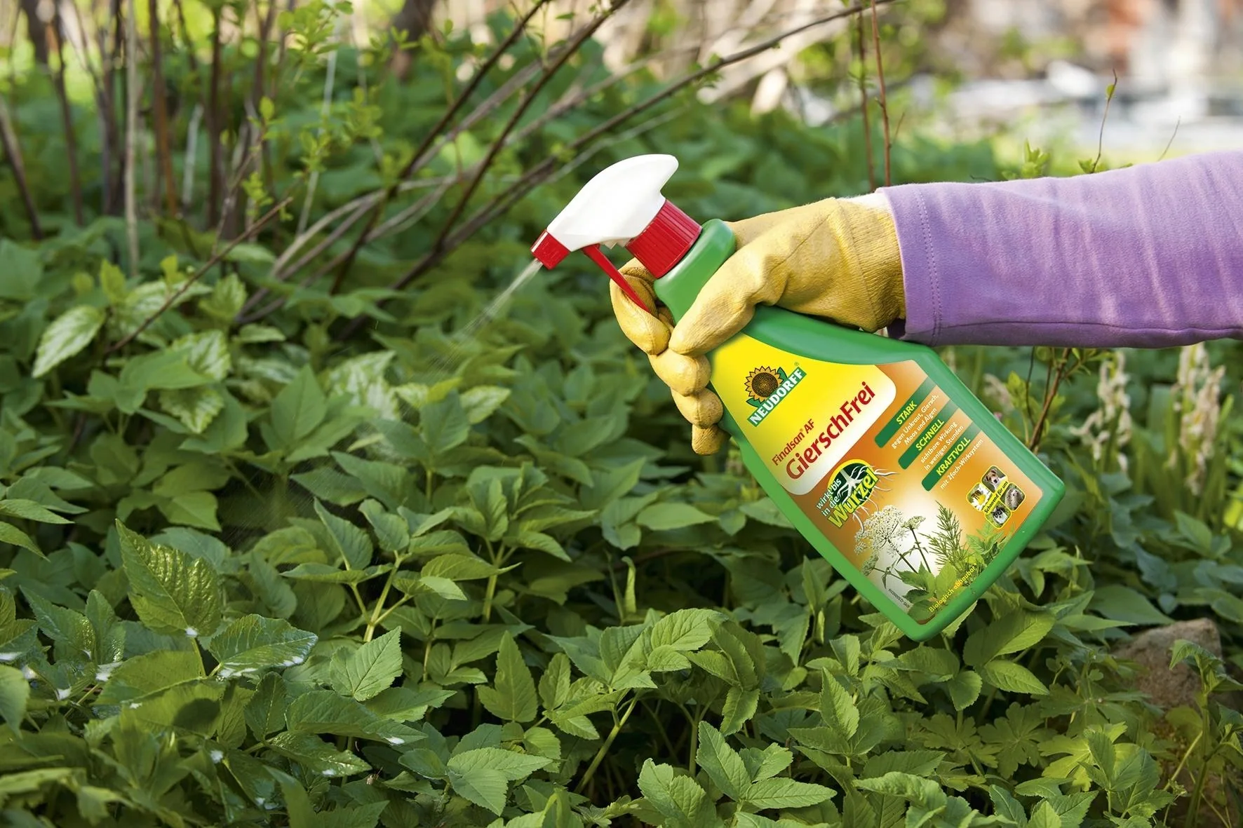 Finalsan GierschFrei AF - 750 ml mit Sprüher, glyphosatfrei - 2