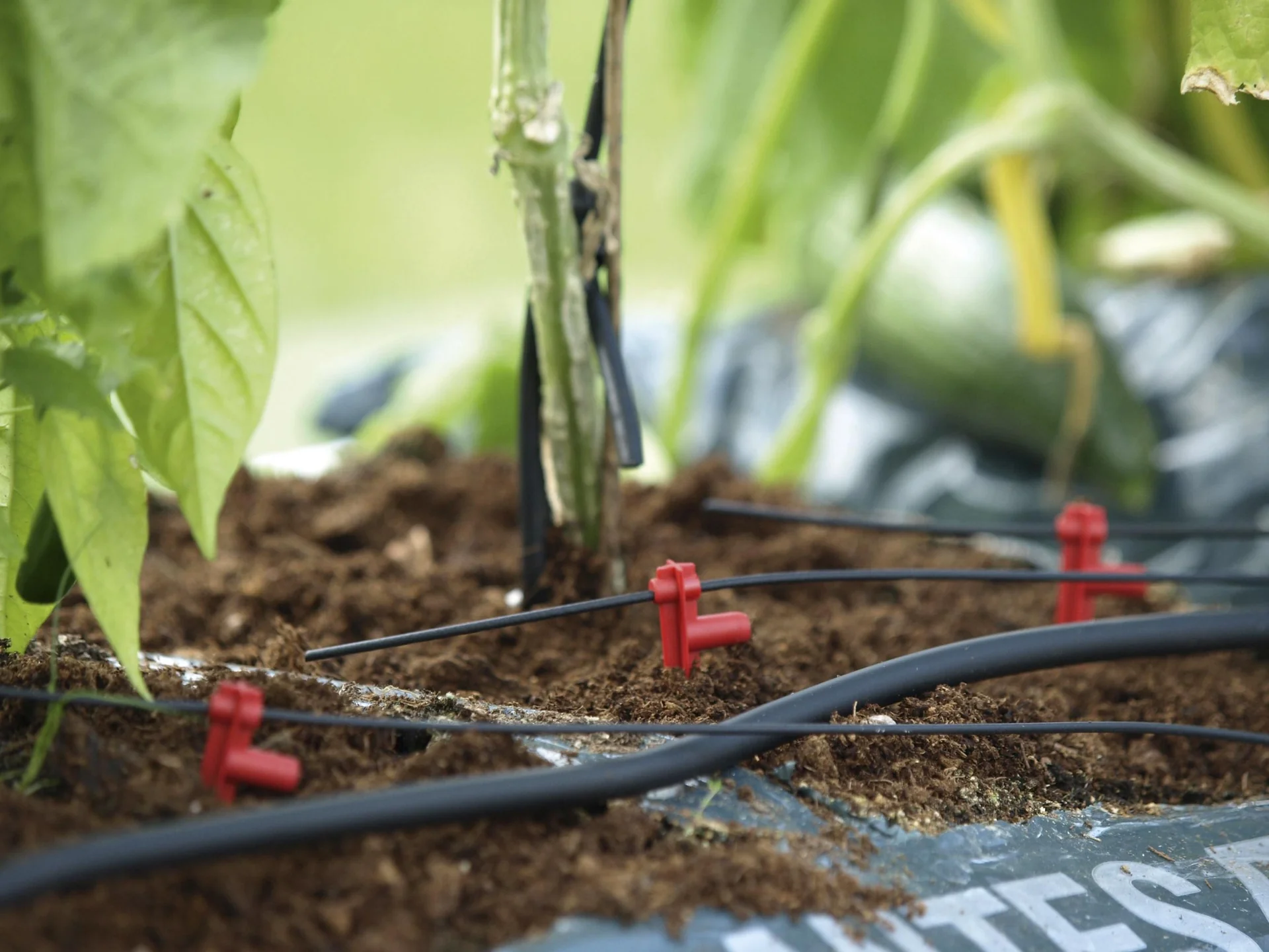 Hydromat Ergänzungs-Set - 2