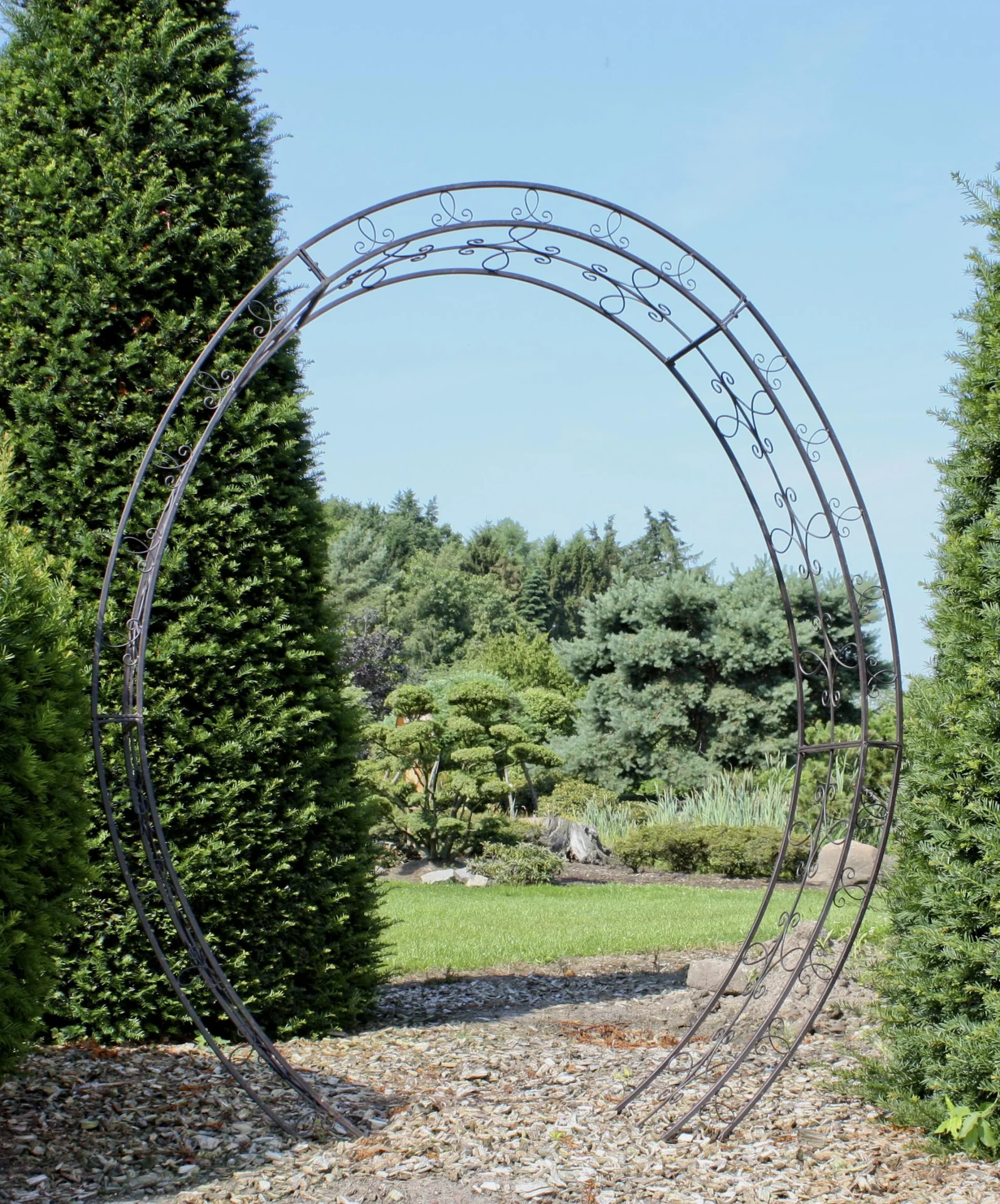 Rosenbogen "Lamos" - 2