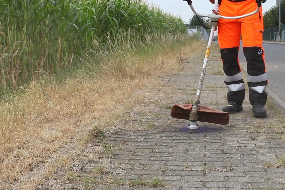 Wildkrautbürste Octo - 7