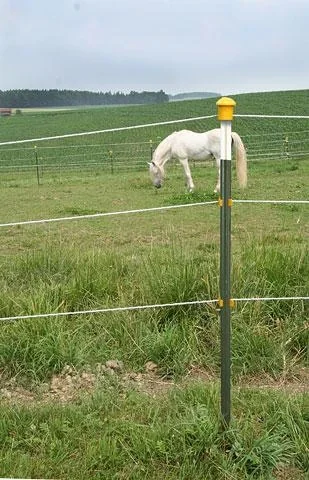 Metallpfahl T-Post, 167 cm, 60 Stück - 5