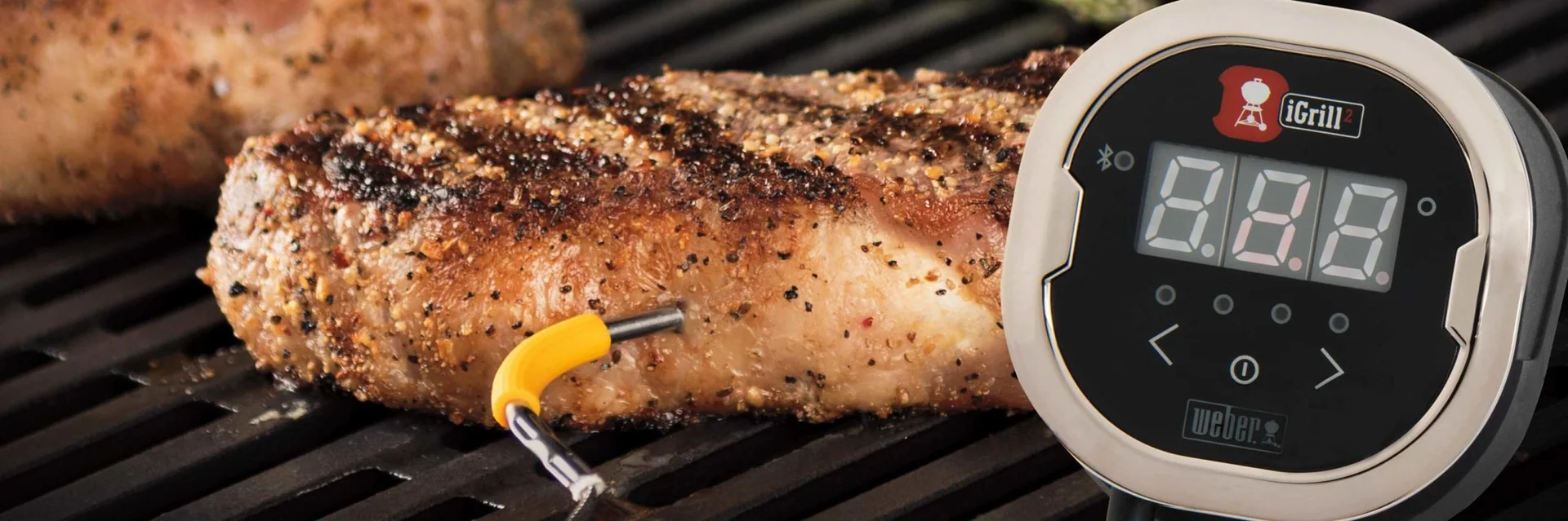 Thermometer iGrill 2 mit zwei Messfühlern - 8