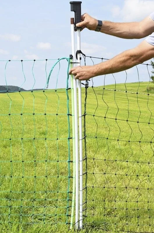 Tor Jumbo 112 cm mit Doppelspitze, 3 m - 6