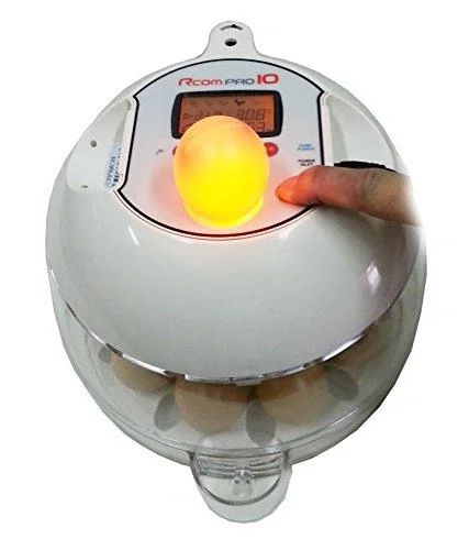 Inkubator R-COM10 PRO PLUS für 10 Eier - 3