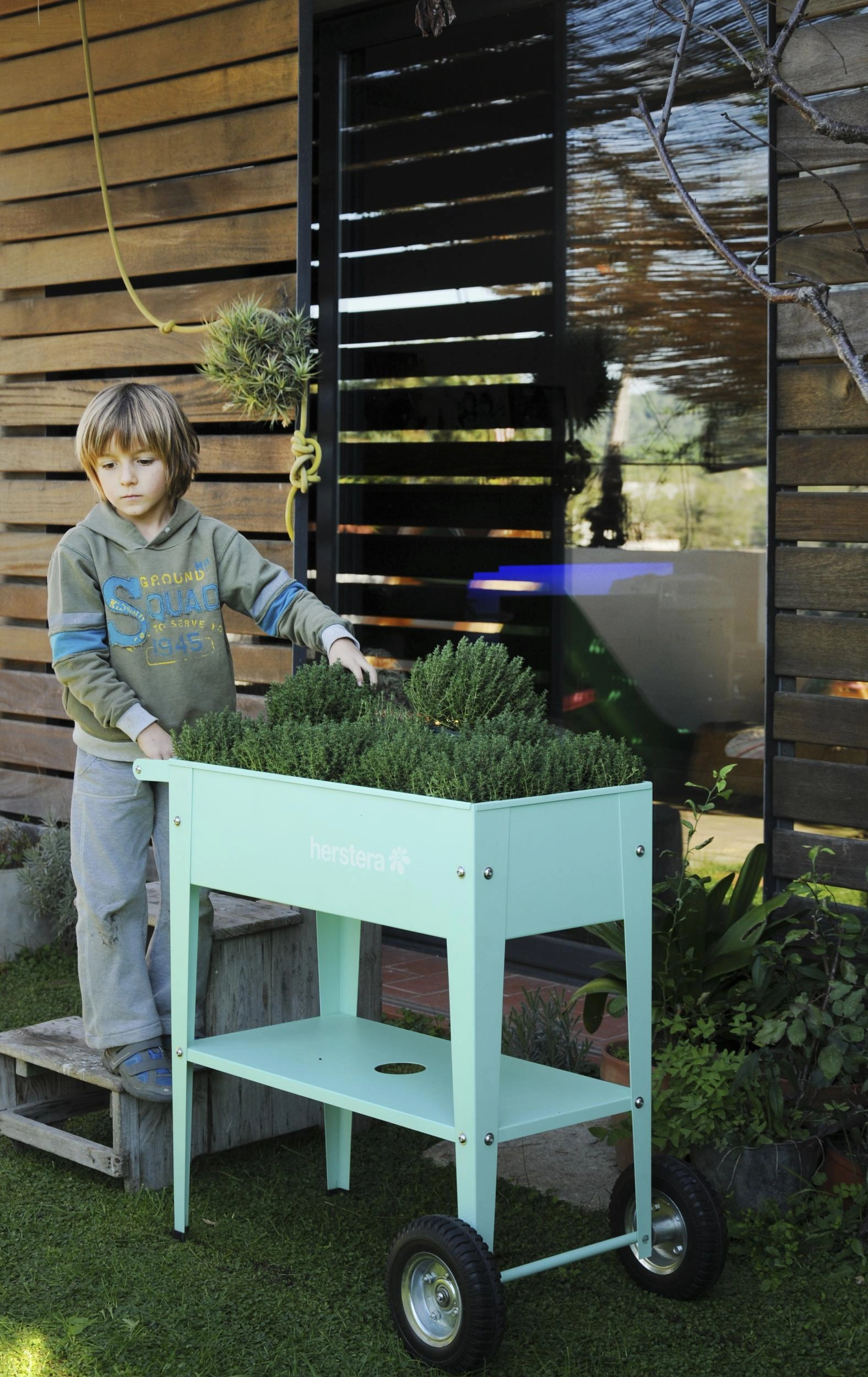 Kräuterfabrik Barcelona Liso mint, 75x35x80 cm - 3