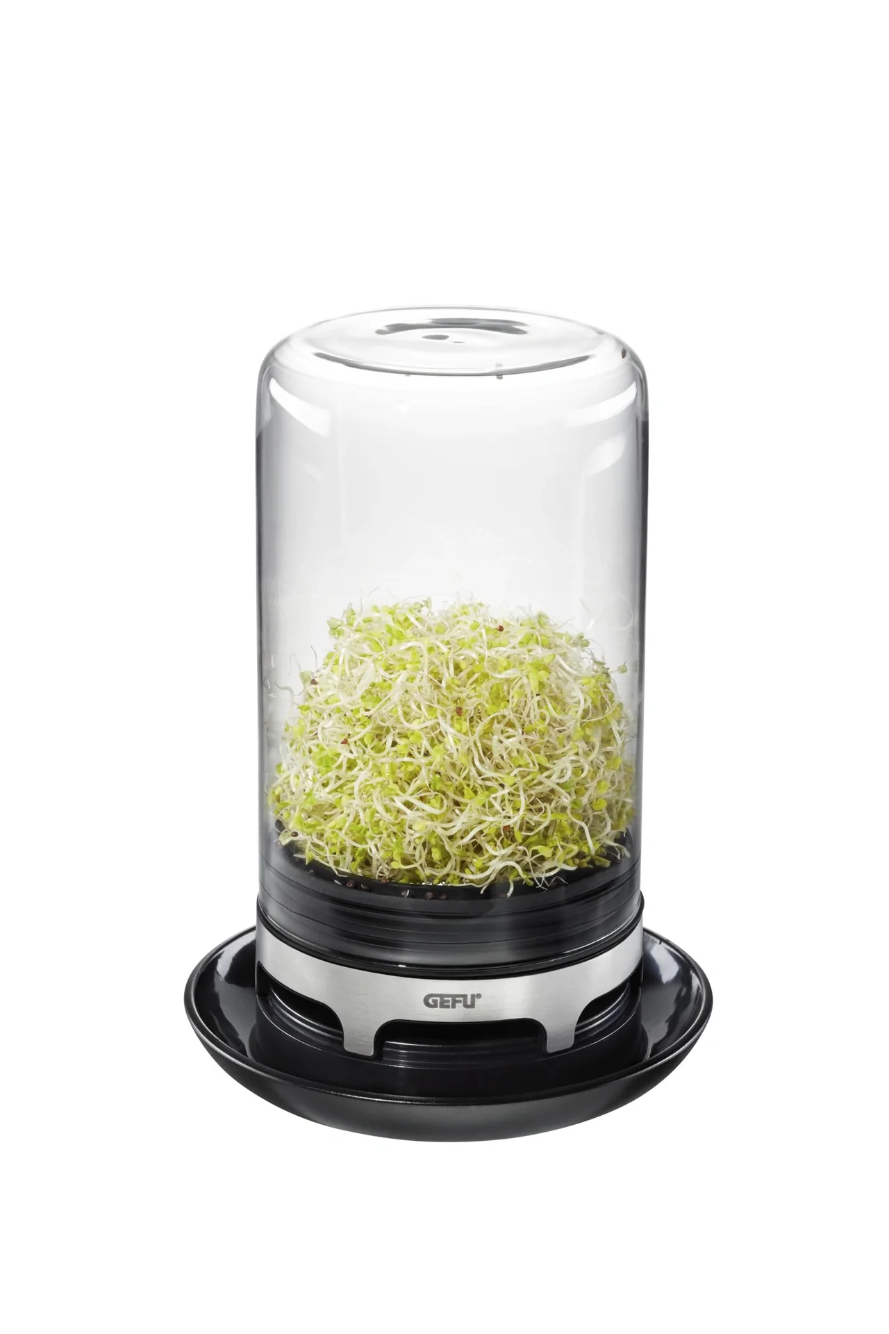 Sprossenglas "BIVITA" - 5