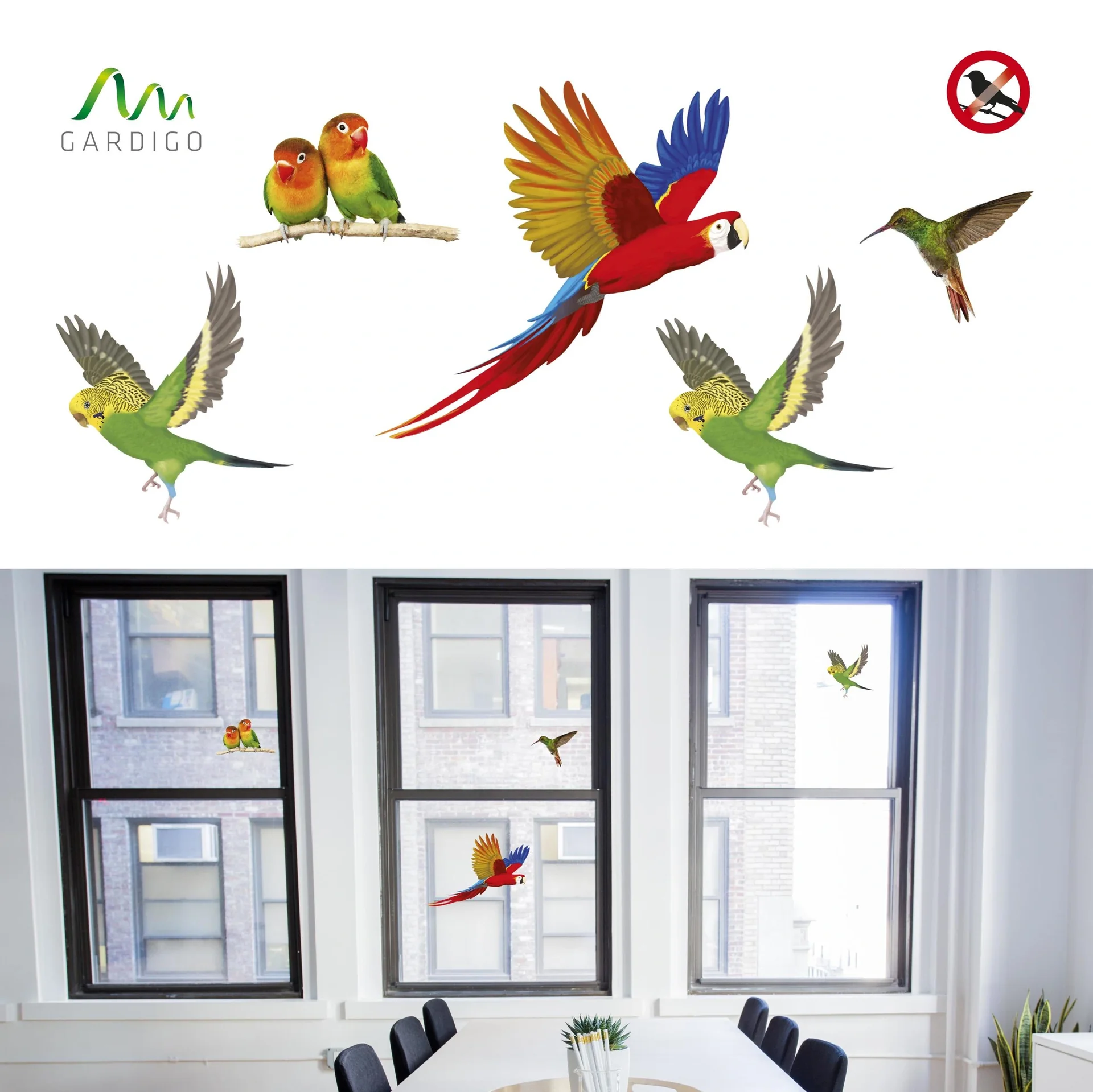 Vogel Silhouetten - 4