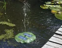 Solar Teichpumpe "Seerose" - 4