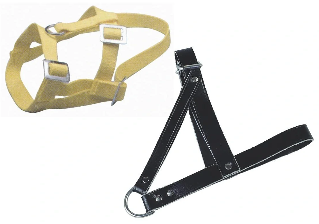 Kopfhalfter Schafe - aus Polymid (Nylon) - 3