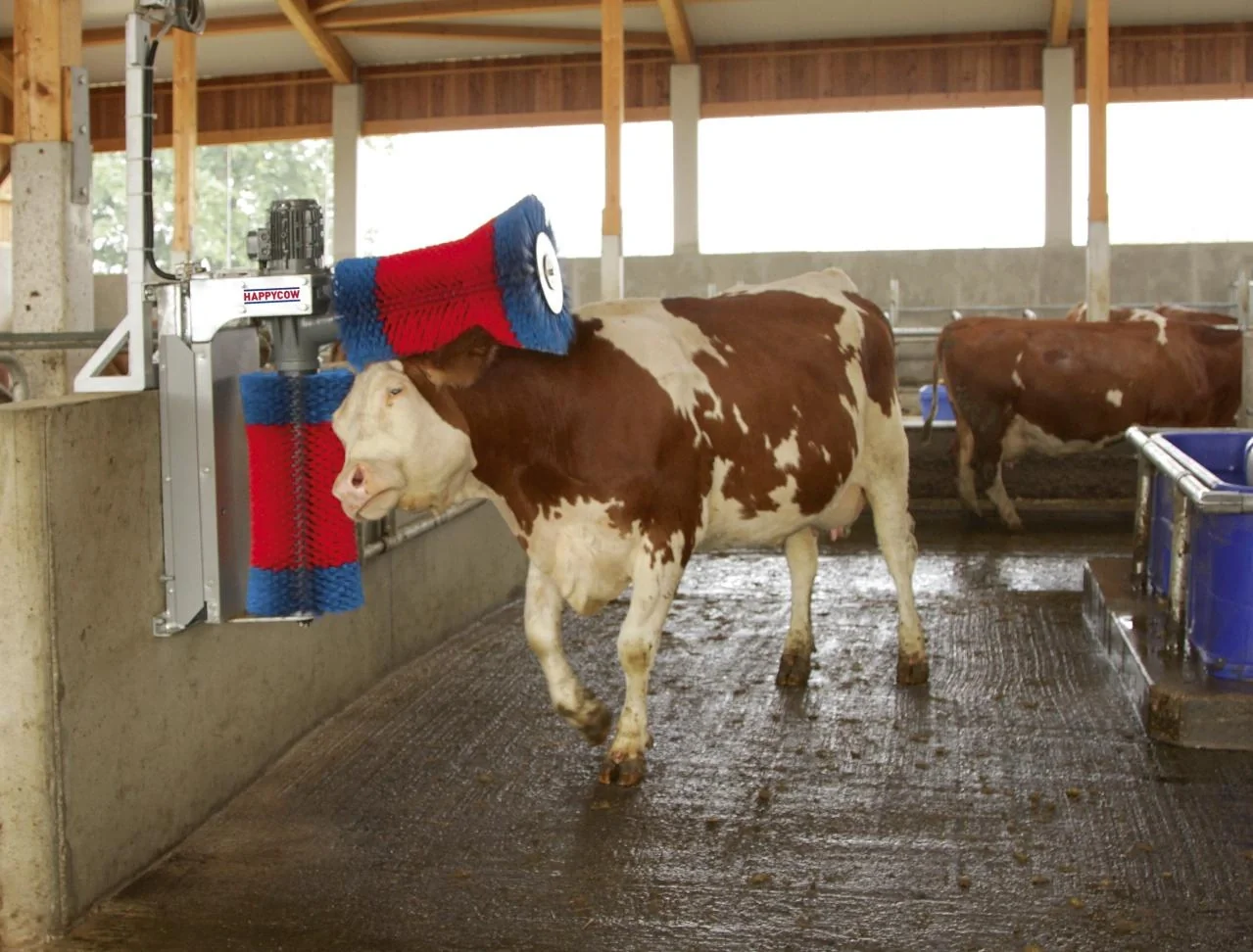 Kuhputzmaschine HappyCow Duo mit hochwertigen Polyamidborsten - 4